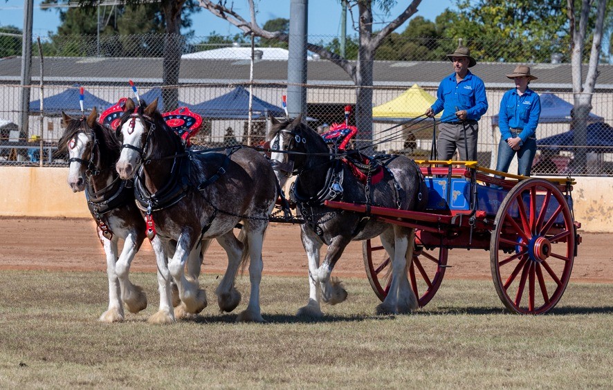 Lockyer Valley Visitor Information Centre Gatton Clydesdale and Heavy